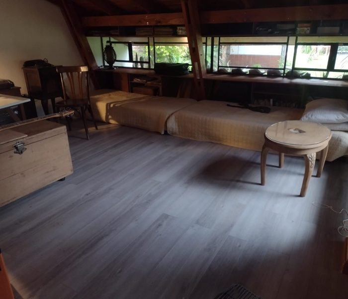 1e0a397d-2eb2-4482-adf4-d909f4054445