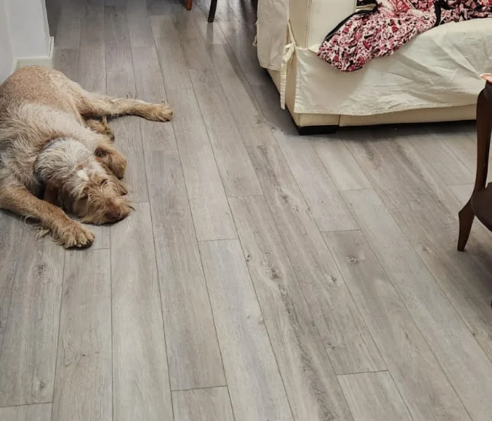 Diseño sin título.pdf 2_00002