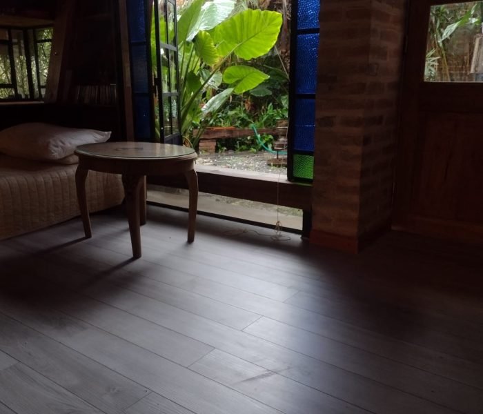 bd5c5f00-53af-4cee-a2e0-009f69d9d250